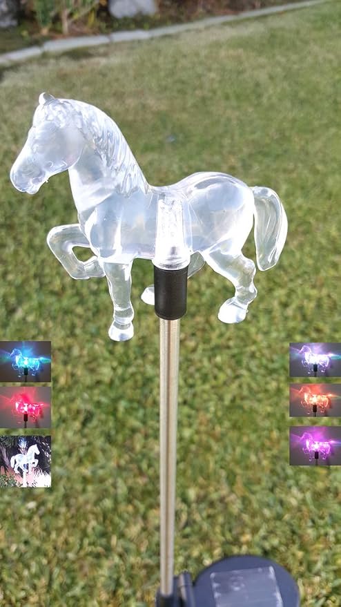 Solar Garden Stake Lights with Color Changing LED or Regular White LED by Ntertainment+House