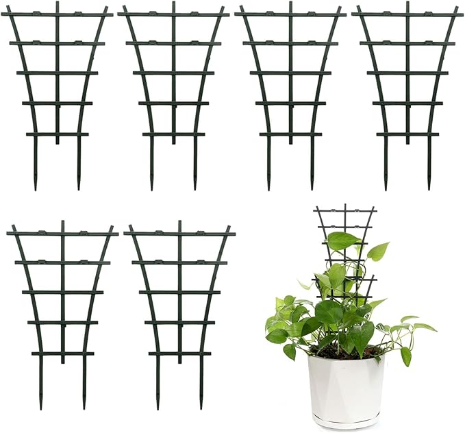 Plant Trellis Indoor, Small Plant Climbing Trellis by Feitore