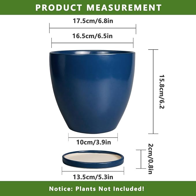 6.8 Inch Plant Pot - Image 3