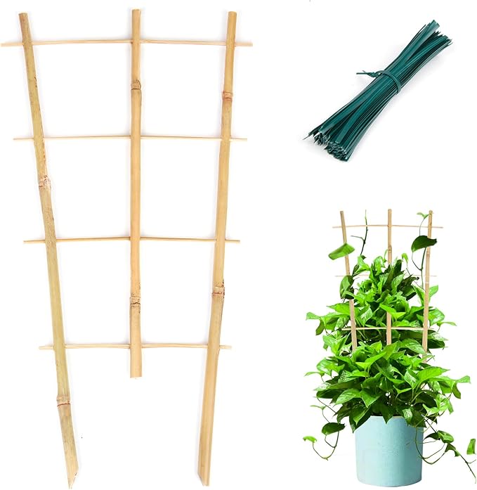 Plant Trellis Indoor, 3 Pack Bamboo Trellises, 16in Fan-Shaped Trellis by Cambaverd