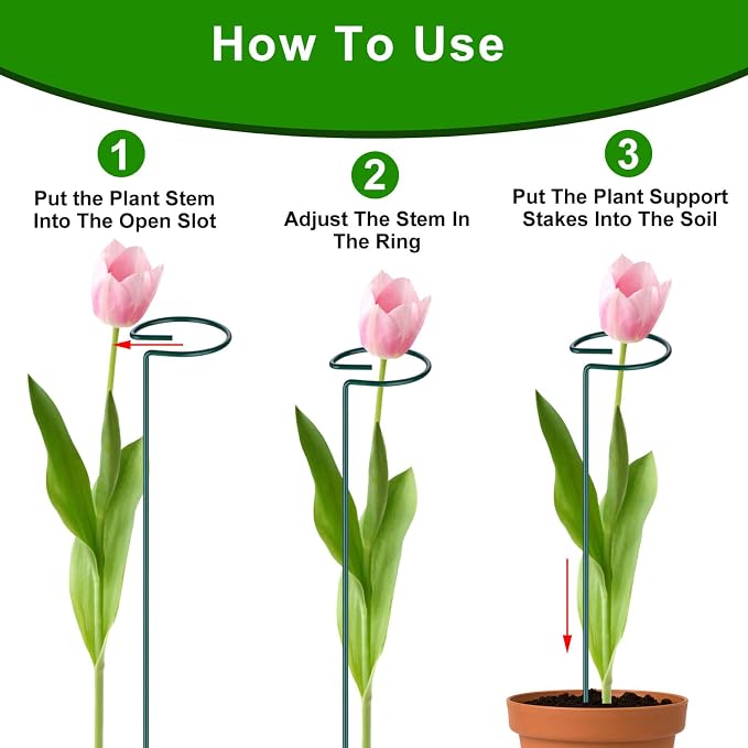 6PCS Single Stem Plant Support Stakes, 16 Inch Monstera Plant Support - Image 3