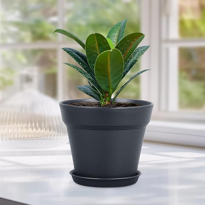 6 inch Nursery Pots, 16 Pack Plastic Plant Pots - Image 6