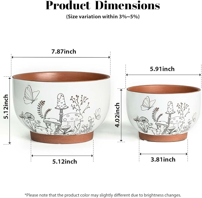 YBX 8 Inch & 6 Inch Terracotta Pots, Plant Pots, Flower Pots - Image 6