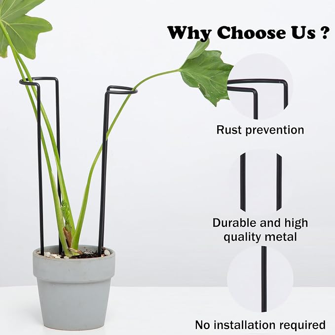 10-Pack Monstera Plant Support - Image 4