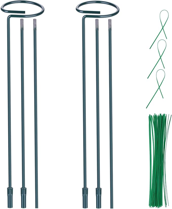 2 Pack Plant Support Stakes, Three Sizes Plant Support Rings by Numyew
