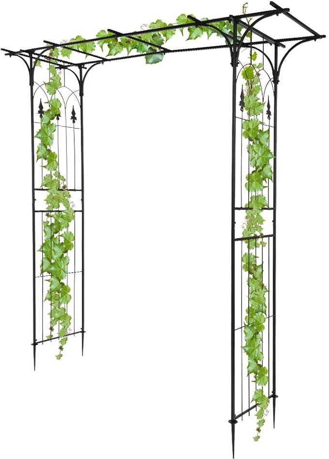 Wrought Iron Garden Arch Arbor for Climbing Plants, Outdoor Garden Lawn by Shyneer