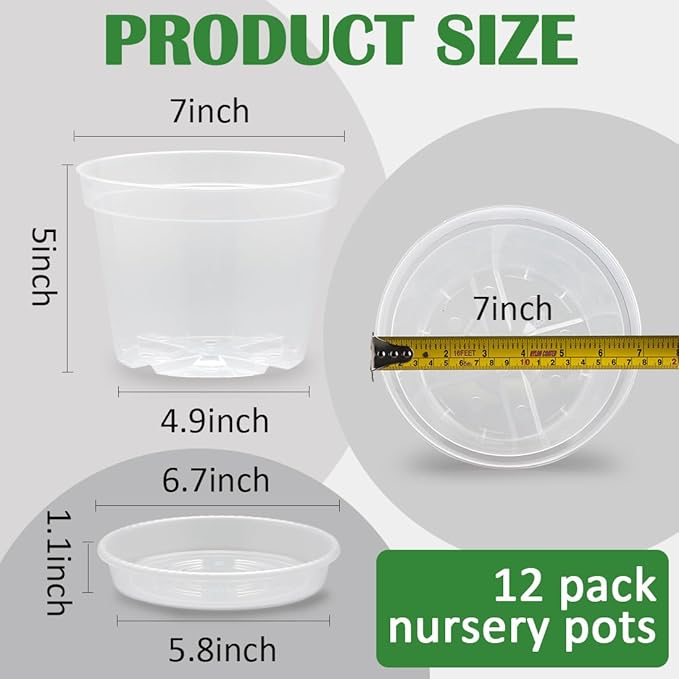 12 Pack 7 Inch Clear Nursery Pots - Image 2
