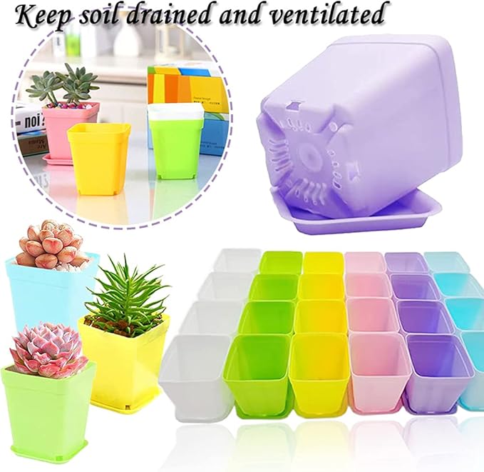 Haawooky 48 PCS 3 Inch Colorful Plastic Plant Pot, Plastic Square Nursery Pots - Image 5