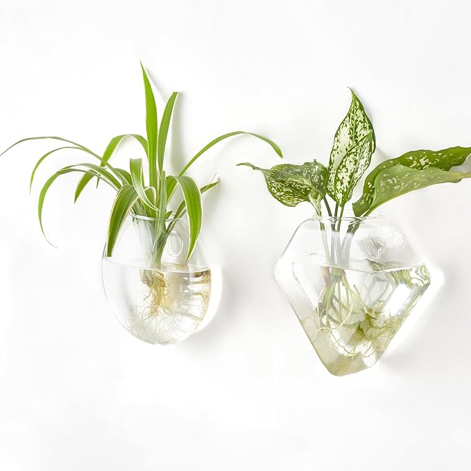 Mkono Wall Planter Propagation Stations Hanging Glass Terrariums Vase Container - Image 8