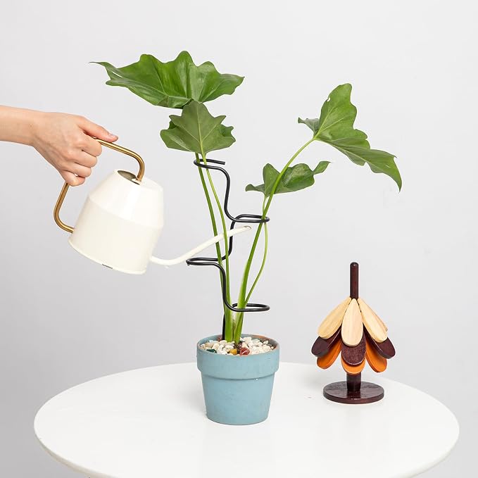3PCS Indoor Plant Support Stakes - Image 6