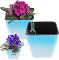 Self Watering Planters for Indoor Plants : 5 inch 3 Pack Gradient Blue Planter by GsGardenSpecialty