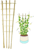 Natural Bamboo Trellis, Fan-Shaped Plant Support Trellis by GUANGYE