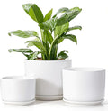 EFISPSS Plant Pots, 4+5+6 Inch Pots by EFISPSS
