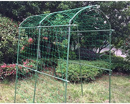 Pack of 2 Cucumber Tomato Trellis Netting, Heavy Duty Garden Netting Support - Image 6