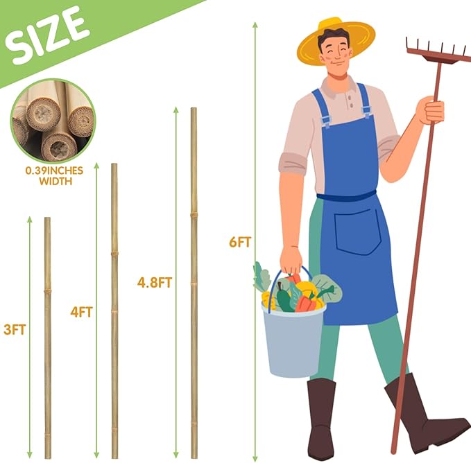 Plant Stakes, 4FT Longer Sturdy Natural Bamboo Garden Stakes, GAGINANG 25Pcs - Image 2