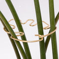 Monstera Plant Stem Support by Yohsnor