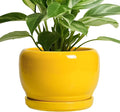SQOWL Ceramic Plant Pot by SQOWL