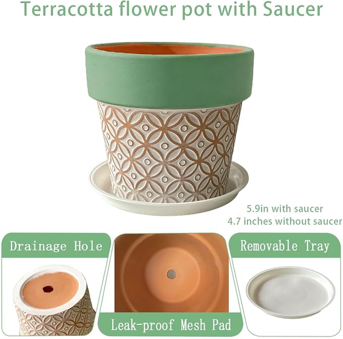 Terracotta Plant Pots Set of 2-5.9 Inch Vintage Pattern Clay Flowerpots - Image 2
