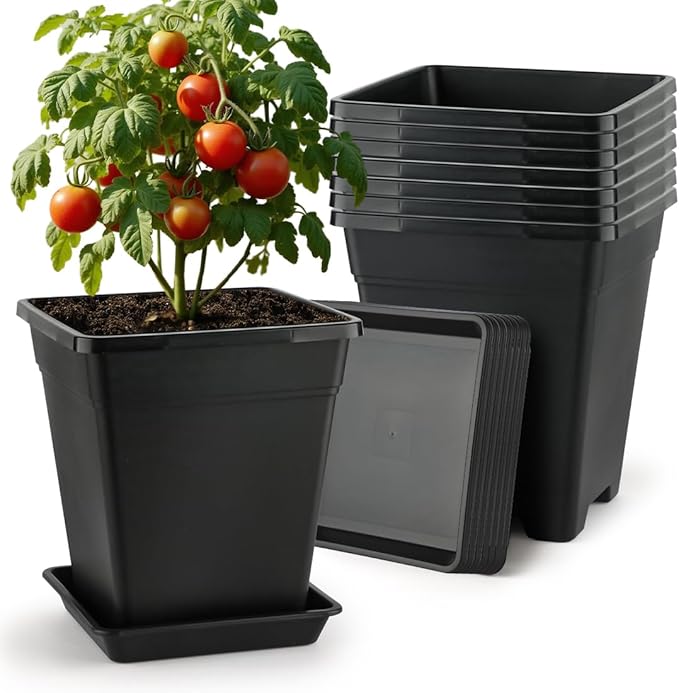 BTPLASTIK 9 Inch Square Planters by BTPLASTIK