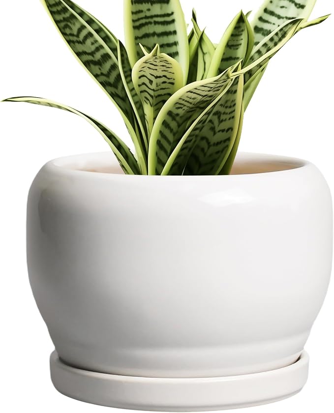 SQOWL Ceramic Flower Pots by SQOWL