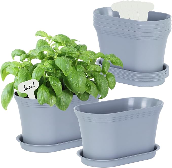 Windowsill Herb Garden Planter by Oliz