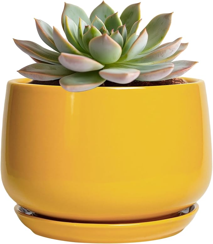 G EPGardening Ceramic Plant Pot by GEPGardening