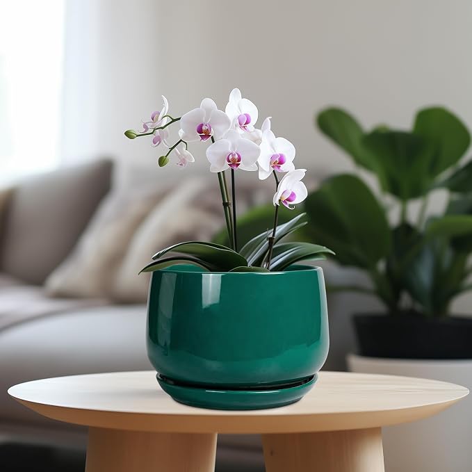 G EPGardening Ceramic Planter for Indoor Plants - Image 2