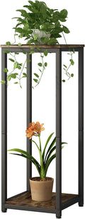 Plant Stand Indoor Corner Tall 2 Tier Metal Modern Flower Storage Plant Shelf by YIZAIJIA