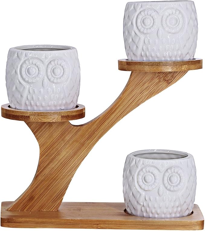 3pcs Owl Succulent Pots with 3 Tier Bamboo Saucers Stand Holder - Image 2