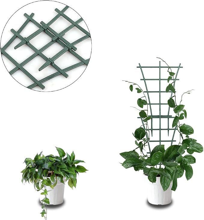 Trellis Small Outdoor, Mini Vine Support Indoor Plant Trellis - Image 8