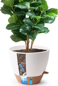 T4U 12 Inch Self Watering Pot by T4U