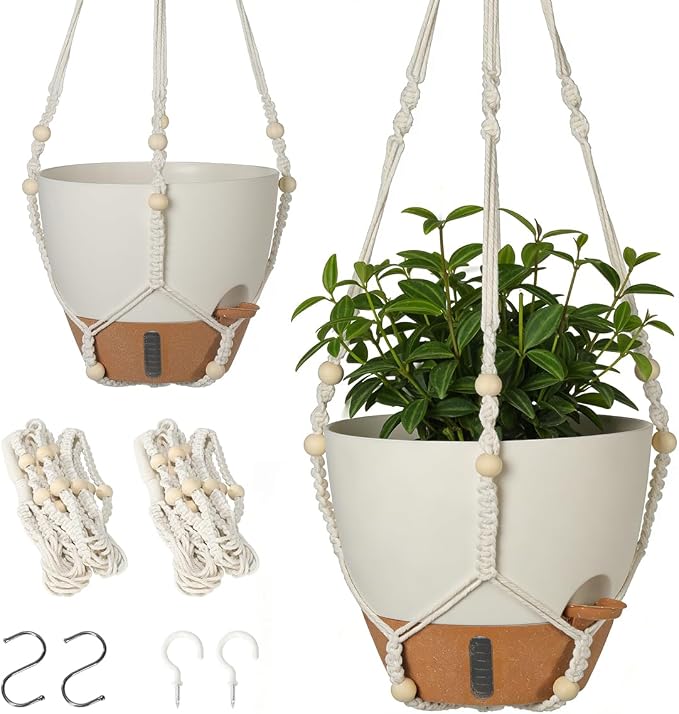 Self-Watering Hanging Planters for Indoor Plants Set 2-Piece Includes Plant by Unknown
