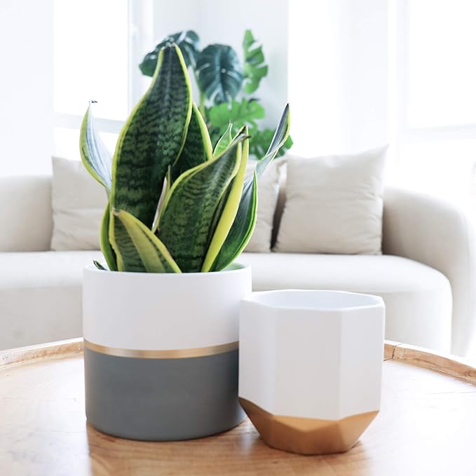 LA Jolie Muse White Ceramic Flower Pot Garden Planters 6.7 Inch Pack 2 Indoor - Image 4