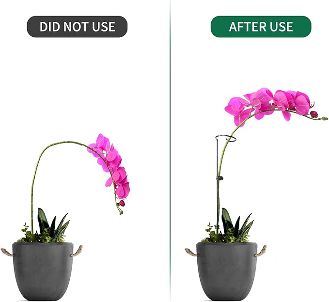 6 Pack Plant Support Stakes - Image 3