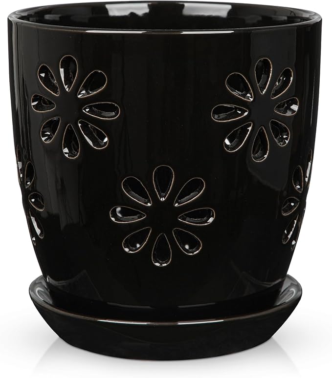 Oairse 6 inch Orchid Pots with Holes, Indoor Plant by Oairse