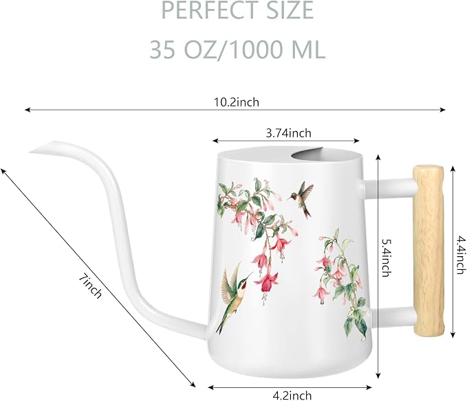 Watering Can Indoor Plants, 35oz Small Stainless Steel Metal Watering Can - Image 4
