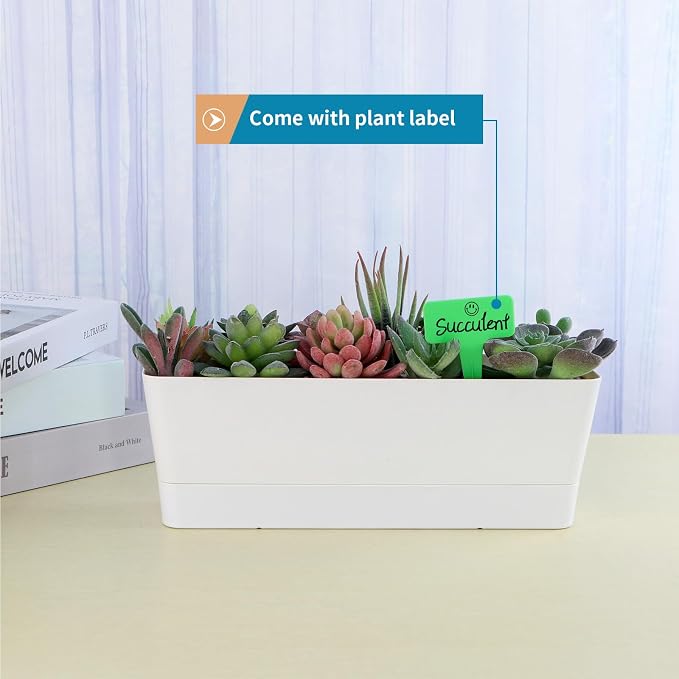 Window Box Planter with Tray - Image 4