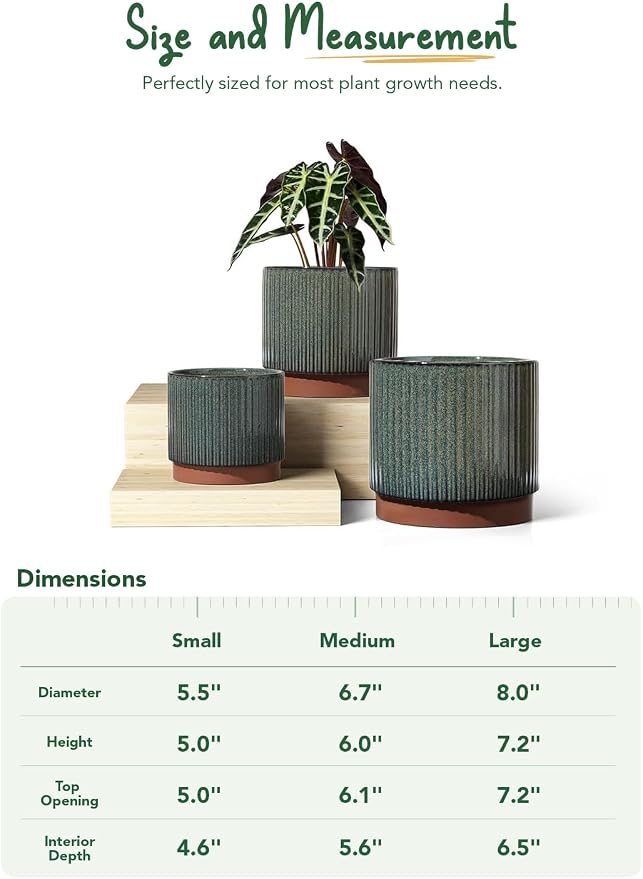 LE TAUCI Ceramic Plant Pots - Image 8