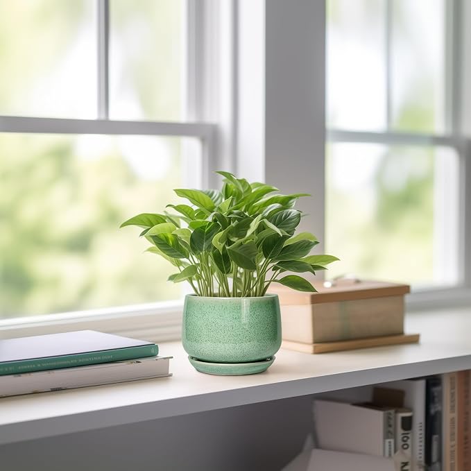 G EPGardening Ceramic Plant Pot - Image 6