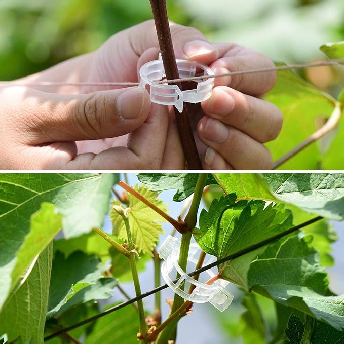 300Pcs Plastic Plant Clip, Plastic Trellis Plant Support Clips - Image 5