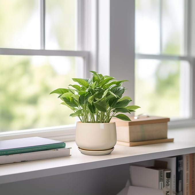 G EPGardening 4 inch Plant Pots - Image 6