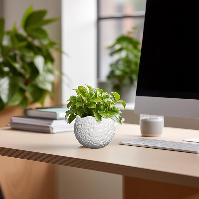 4 inch Plant Pots - Image 4