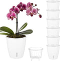 Self Watering Pots for Indoor Plants, Small African Violet Pots by KvyusFlourish