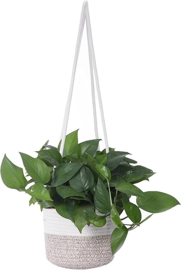 Hanging Planter Basket Jute Rope Woven Plant Hangers Indoor Hanging Plant by RUIZHIXUAN