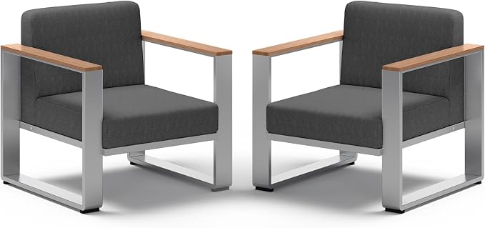 2 Pieces Outdoor Aluminum Armchair, Modern Patio Patio Furniture by ComfCove