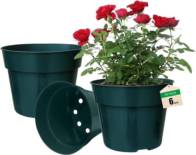 50 Pack 6 Inch Nursery Pots, Planting Grow Plastic Flower Pots, Thick Planters by RooTrimmer
