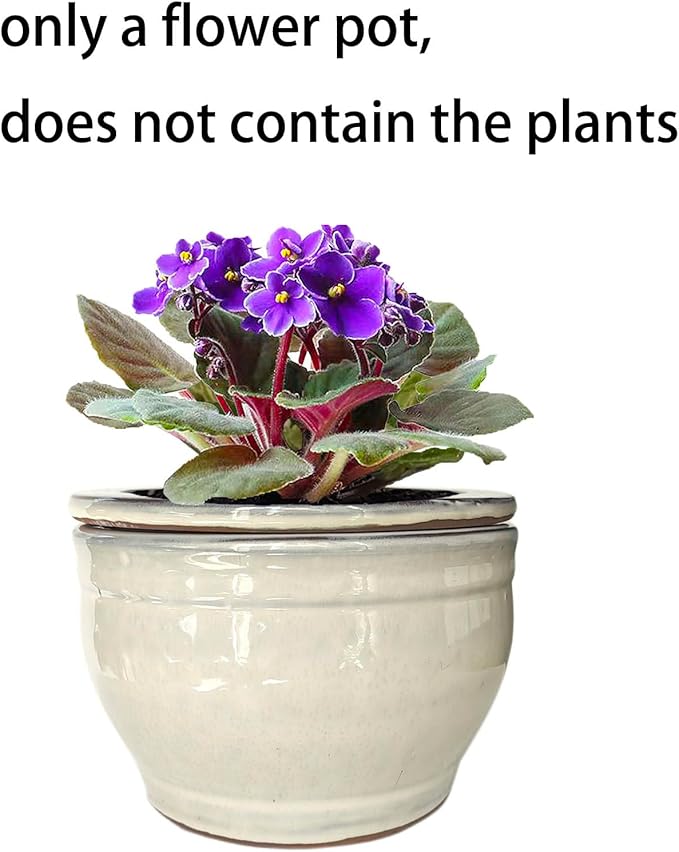 African Violet Pots Self Watering Round Ceramic Violet Pot - Image 6