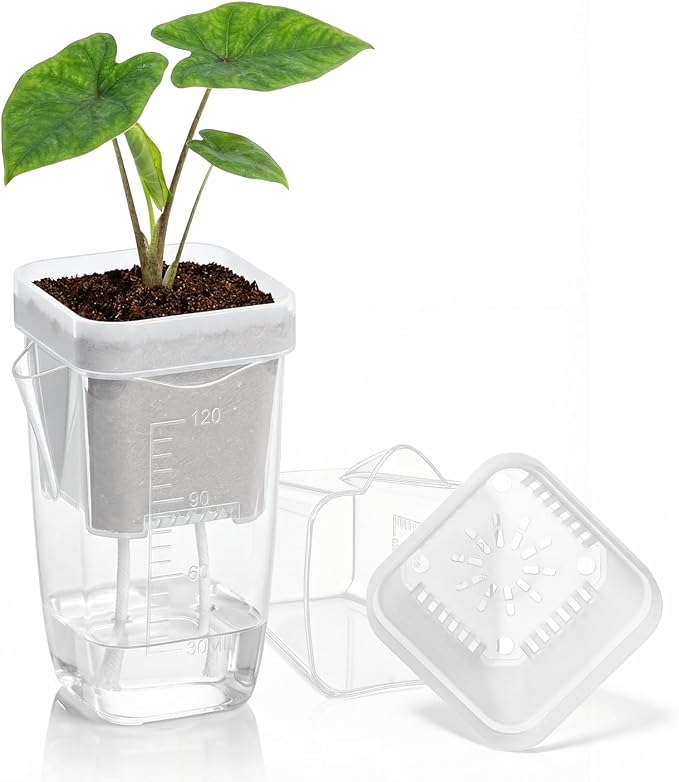 QCQHDU 2 Inch Mini Self Watering Pots by QCQHDU