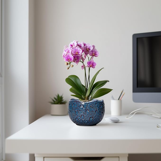 6 Inch Plant Pot - Image 5