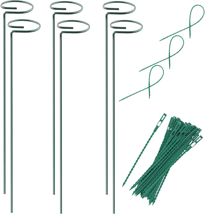 Plant Stake Support by RAIKEDR